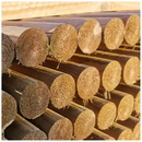 RONDIN SANS CHANFRIN DIAM 80 MM 3M00 CLASSE 4